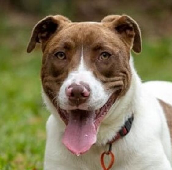 Kids playing outdoors